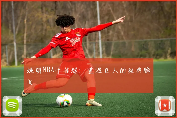 姚明NBA十佳球:重温巨人的经典瞬间