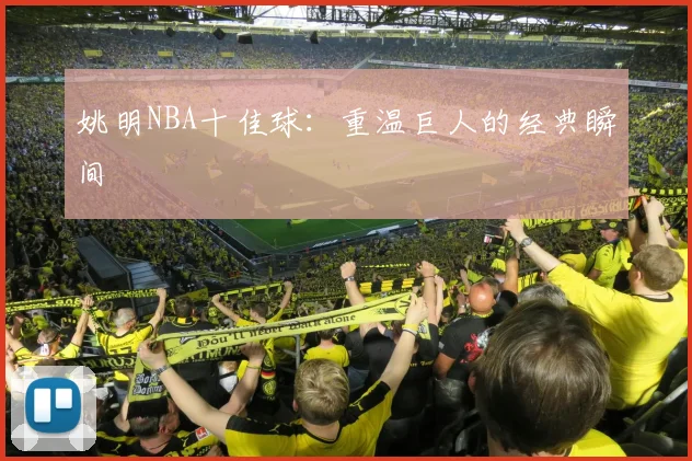 姚明NBA十佳球:重温巨人的经典瞬间