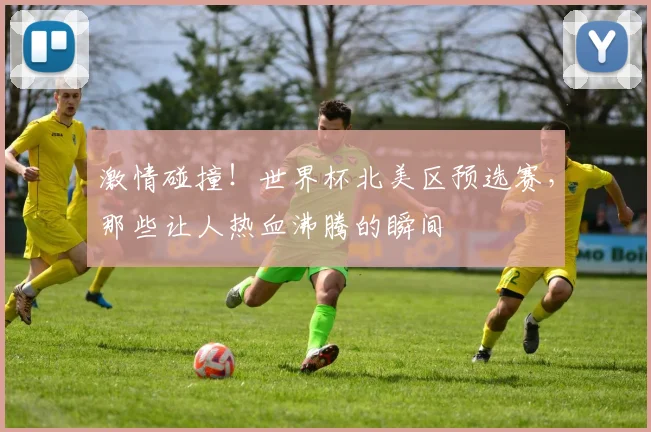 激情碰撞！世界杯北美区预选赛，那些让人热血沸腾的瞬间