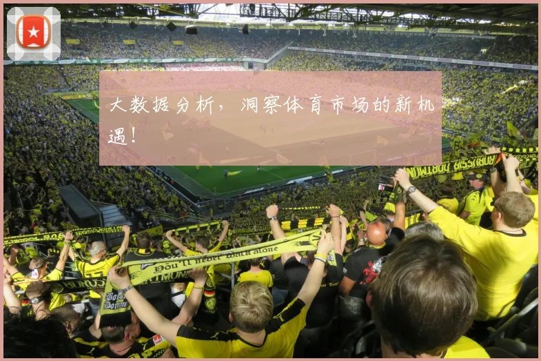 大数据分析,洞察体育市场的新机遇!
