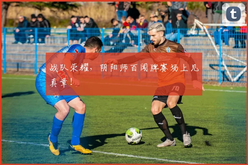 战队荣耀，阴阳师百闻牌赛场上见真章！